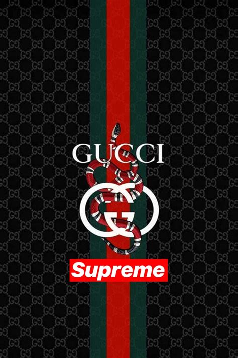 Download Gucci Supreme Logo On A Black Background Wallpaper ...