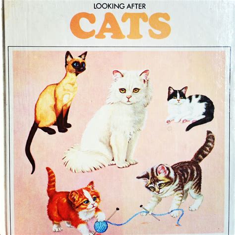 Vintage Cat book