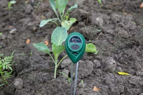 The Best Soil pH Test Kit: A Comprehensive Guide For Soil Test Kits