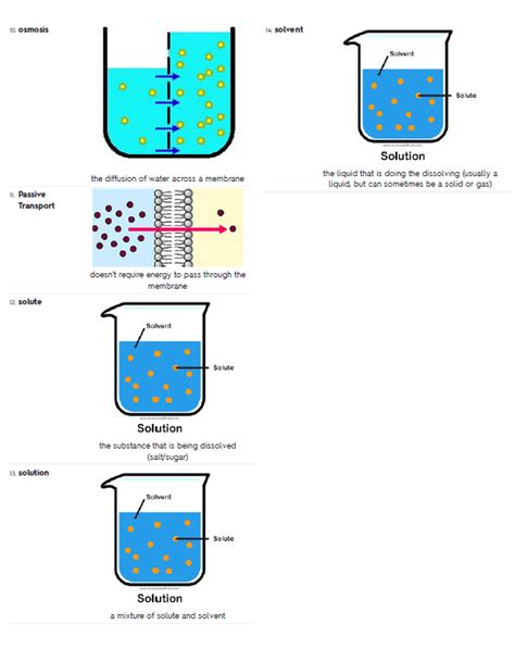 Diffusion, Osmosis and Osmotic Balance | Mr. Ewert's Class