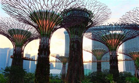 The Supertrees of Singapore ~ Kuriositas