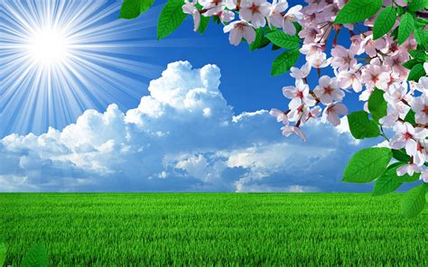 Spring Weather Wallpapers - Top Free Spring Weather Backgrounds - WallpaperAccess