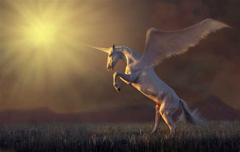 Why Does The Bible Mention Unicorns? | Creation Today