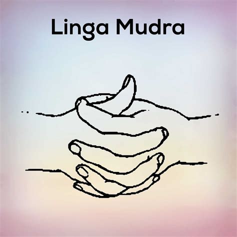 Samana Vayu Mudra Learn its steps pose, and benefits - nexoye