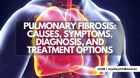 Pulmonary Fibrosis: Causes, Symptoms, Diagnosis, and Treatment Options – MyHealthBooster