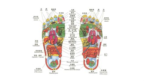 Chinese Foot Reflexology Points to Supercharge Your Health