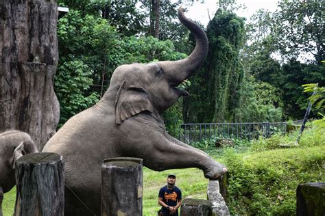 The most visited places in Malaysia in pandemic year 2020: Zoo Negara, Sibu Central Market ...