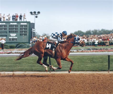 How to Celebrate the Anniversary of Secretariat’s Triple Crown Win ...