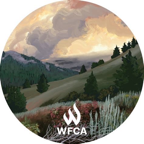 Health Effects of Wildfire Smoke | WFCA