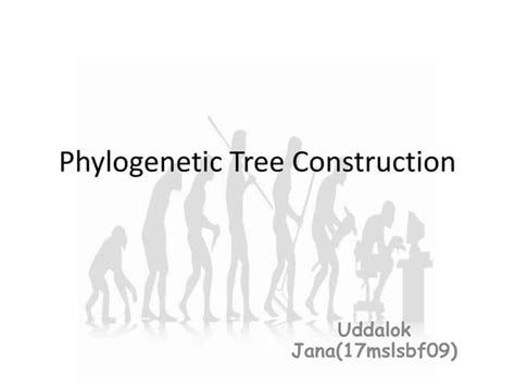 Phylogenetic tree construction | PPT