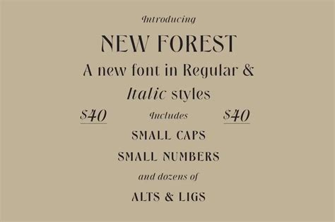 New Forest Font - UpFonts