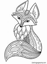 Beautiful Fox Coloring Page  Free Printable Pages sketch template
