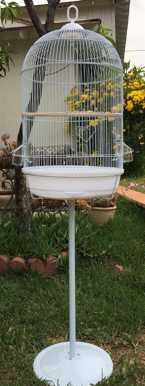 10 Best Bird Cages with Stand for Your Feathered Friends - Hummingbirds ...