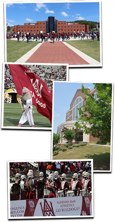 Initiatives - Alabama A&M University