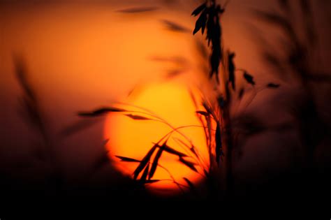 Country Sunrise on Behance