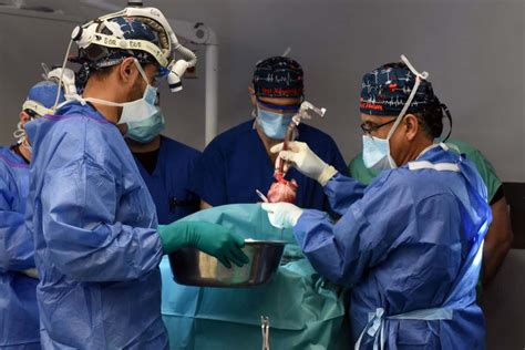 Xenotransplant: Surgeons perform the second ever pig-to-human heart ...