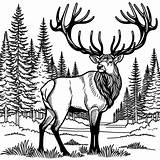Simple elk coloring Page Lulu Pages sketch template
