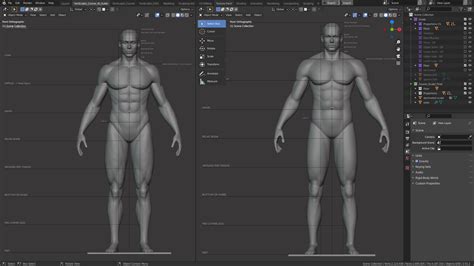 Anatomy and Form in Blender - Sculpting Course - Blender Market