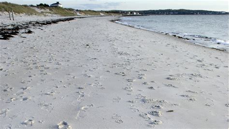 How is beach sand created? - Woods Hole Oceanographic Institution