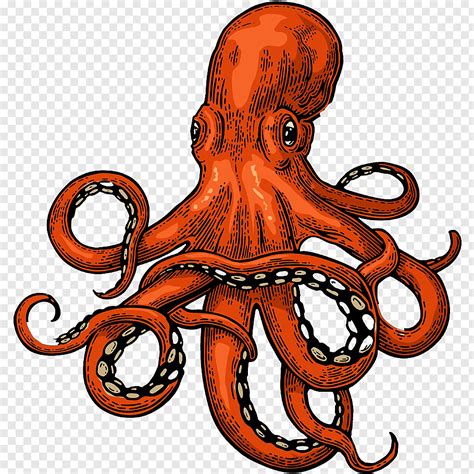 Octopus, Sea Monster, Drawing, Kraken, Gigantic Octopus, Tentacle, Giant Pacific Octopus free ...