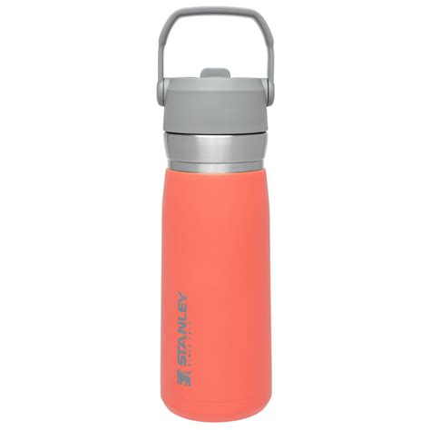 Stanley Iceflowâ„¢ Flip Straw Insulated Stainless Steel Water Bottle 22 oz - Guava - Walmart.com ...