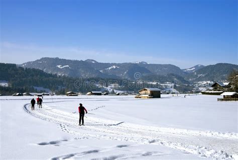 Cross Country Skiing Oberstdorf Stock Photo - Image of winter, snow ...