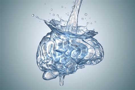 New Research: When You Drink Water Your Brain Works Better - Big Blue