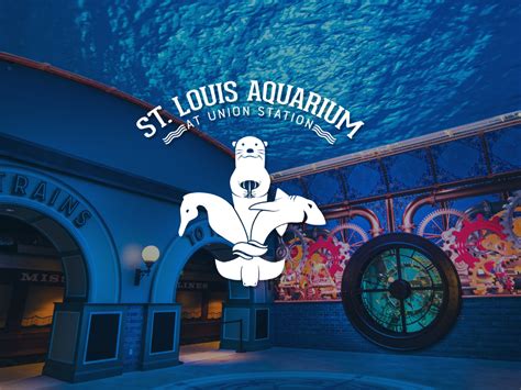 St. Louis Aquarium is making a splash - The Wesleyan Church