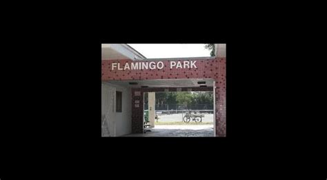 Flamingo Park Pool | South Florida Finds