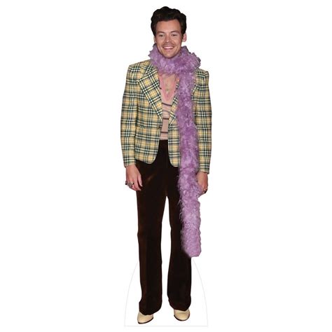 Harry Styles Cardboard Cutout Template