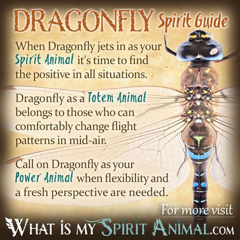 Dragonfly Symbolism & Meaning! Plus, Dragonfly as a Spirit, Totem, & Power Animal! | Dragonfly ...