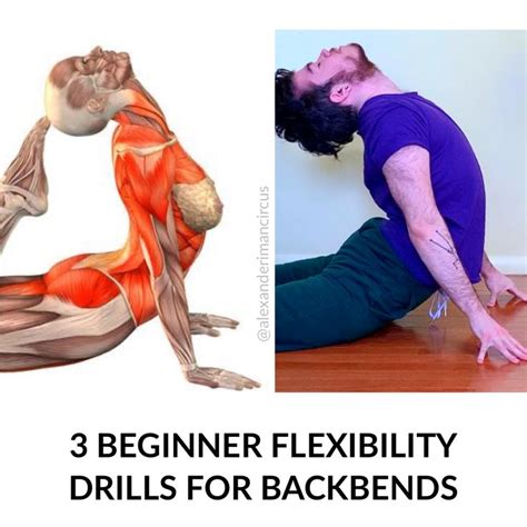 3 Beginner Backbend Stretches! | Backbend poses, Flexibility tips, Flexibility