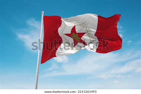 Official Flag Birmingham Alabama Untied States Stock Illustration 2215261493 | Shutterstock