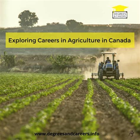 Exploring Careers In Agriculture In Canada - Degrees & Careers