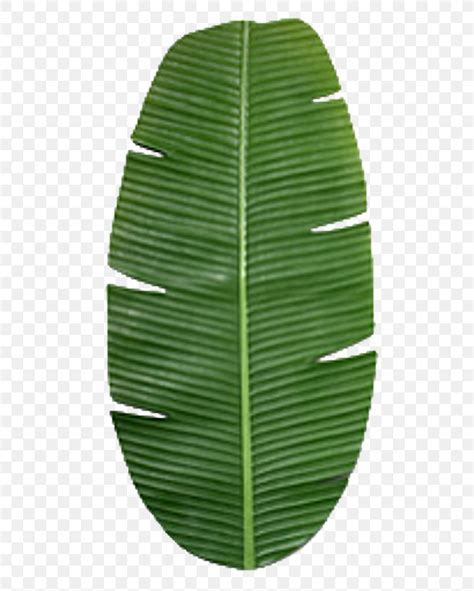 Banana Leaf Texture Mapping, PNG, 512x1024px, Banana Leaf, Banana, Blender, Color, Grass ...