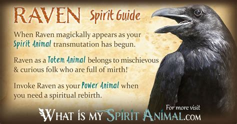 Raven Symbolism & Meaning | Raven Spirit, Totem, & Power Animal | Power ...