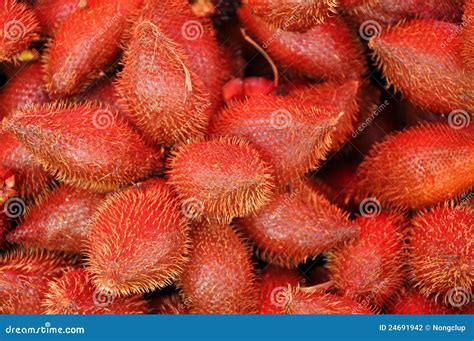 Zalacca stock photo. Image of fresh, thailand, zalacca - 24691942