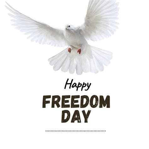 Happy Freedom Day Wishes, Messages, And Quotes - 2024