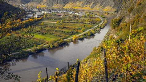 Wein aus Deutschland - Munich Wine Rebels