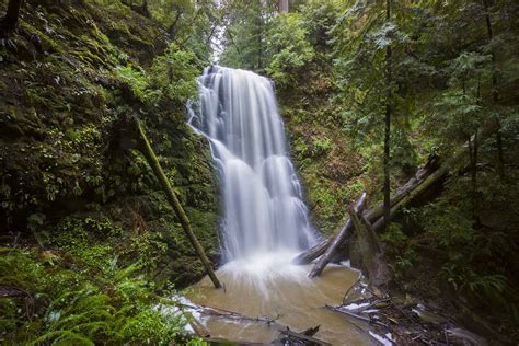 The Berry Creek Loop