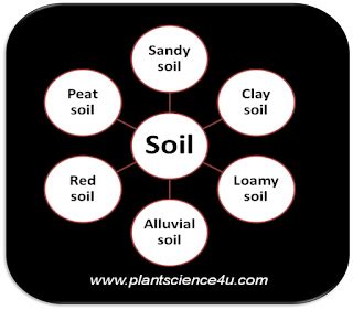 Soil Types: Sandy soil, Clay soil, Loamy soil, Alluvial soil, Red soil ...