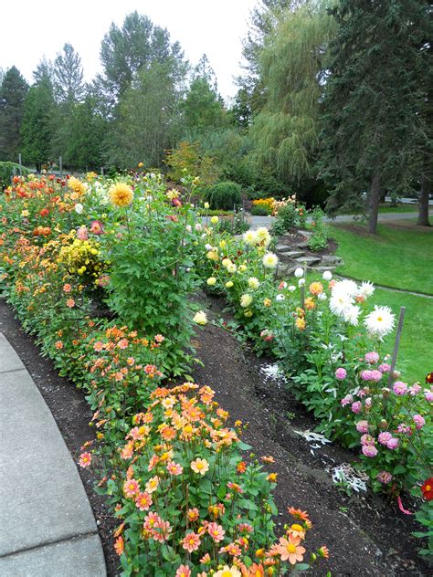 Celebrate the Bellevue Botanical Garden's 20 Years | Bellevue, WA Patch