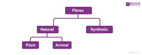 Synthetic and Natural Fibres - Definition, Examples, Types, Advantage, Videos and FAQs of ...