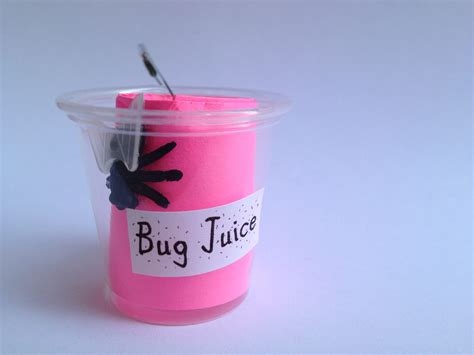 "Bug Juice" Girl Scout SWAP, inspired from the camp song "Bug Juice". Pink paper wrapped inside ...