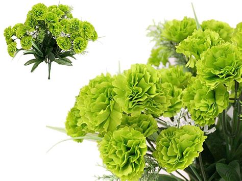 green Carnations - The Plant Guide