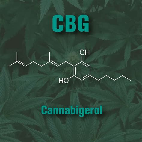 Survey of Patients Using CBG (Cannabigerol) — Farmer's Friend Extracts PDX | Full-Spectrum CO2 ...