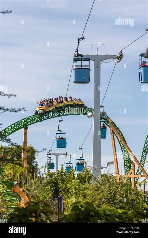 Park guests riding Cheetah Hunt roller coaster under the Skyride at ...