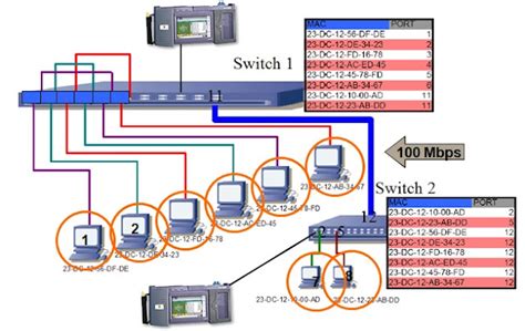 Ethernet Switching Fundamentals