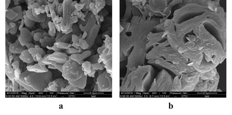 Scanning electron microscopy (SEM) images of the samples: (a) SEM image ...