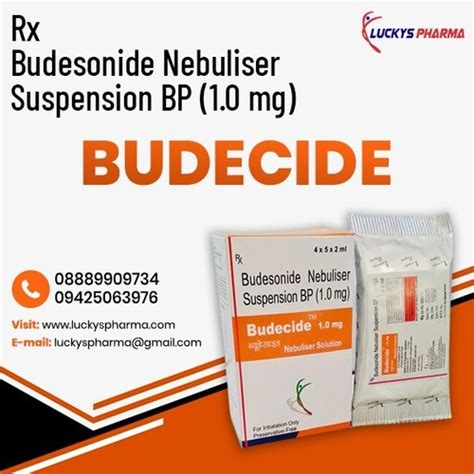 Budesonide 1mg Nebulizer Solution General Medicines at Best Price in Indore | Luckys Pharma Lab ...